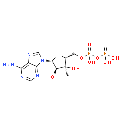 ChemSpider 2D Image | 3'-C-Methyladenosine 5'-(trihydrogen diphosphate) | C11H17N5O10P2