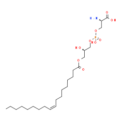 ChemSpider 2D Image | O-(Hydroxy{(2S)-2-hydroxy-3-[(9Z)-9-octadecenoyloxy]propoxy}phosphoryl)-L-serine | C24H46NO9P