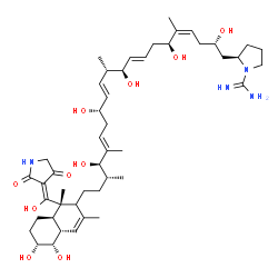 ChemSpider 2D Image | (2R)-2-[(2S,4Z,6S,8E,10R,11S,12E,14S,16E,18R,19R)-21-{(1S,4aS,5S,6R,8aR)-1-[(Z)-(2,4-Dioxo-3-pyrrolidinylidene)(hydroxy)methyl]-5,6-dihydroxy-1,3-dimethyl-1,2,4a,5,6,7,8,8a-octahydro-2-naphthalenyl}-2
,6,10,14,18-pentahydroxy-5,11,17,19-tetramethyl-4,8,12,16-henicosatetraen-1-yl]-1-pyrrolidinecarboximidamide | C47H74N4O10