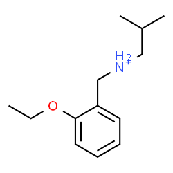 ChemSpider 2D Image | N-(2-Ethoxybenzyl)-2-methyl-1-propanaminium | C13H22NO
