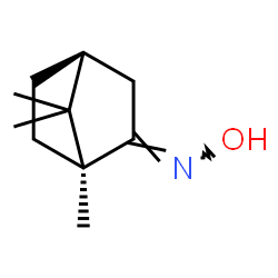 ChemSpider 2D Image | (1S,2E,4S)-N-Hydroxy-1,7,7-trimethylbicyclo[2.2.1]heptan-2-imine | C10H17NO