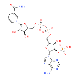 ChemSpider 2D Image | [[(2R,3R,4R,5R)-5-(6-aminopurin-9-yl)-3-hydroxy-4-phosphonooxy-tetrahydrofuran-2-yl]methoxy-hydroxy-phosphoryl] [(2R,3R)-5-(3-carbamoyl-4H-pyridin-1-yl)-3,4-dihydroxy-2,3-dihydrofuran-2-yl]methyl hydrogen phosphate | C21H28N7O17P3