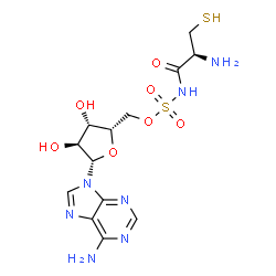 ChemSpider 2D Image | 9-[5-O-({(Z)-[(2S)-2-Ammonio-1-oxidanidyl-3-sulfanylpropylidene]amino}sulfonyl)-beta-L-xylofuranosyl]-9H-purin-6-amine | C13H19N7O7S2