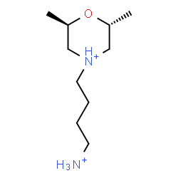 ChemSpider 2D Image | (2R,6R)-4-(4-Ammoniobutyl)-2,6-dimethylmorpholin-4-ium | C10H24N2O