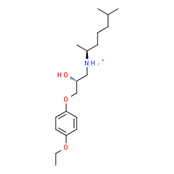 ChemSpider 2D Image | (2S)-N-[(2R)-3-(4-Ethoxyphenoxy)-2-hydroxypropyl]-6-methyl-2-heptanaminium | C19H34NO3