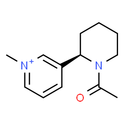ChemSpider 2D Image | 3-[(2R)-1-Acetyl-2-piperidinyl]-1-methylpyridinium | C13H19N2O