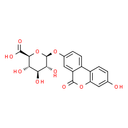 ChemSpider 2D Image | 3-Hydroxy-6-oxo-6H-benzo[c]chromen-8-yl beta-D-glucopyranosiduronic acid | C19H16O10