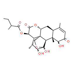 ChemSpider 2D Image | (1beta,8alpha,11beta,12alpha,15beta)-1,11,12-Trihydroxy-2,16-dioxo-11,20-epoxypicras-3-en-15-yl 2-methylbutanoate | C25H34O9