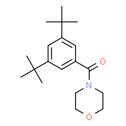 ChemSpider 2D Image | [3,5-Bis(2-methyl-2-propanyl)phenyl](4-morpholinyl)methanone | C19H29NO2