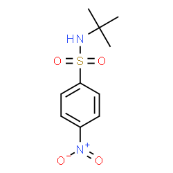 ChemSpider 2D Image | N-tert-butyl-4-nitrobenzenesulfonamide | C10H14N2O4S