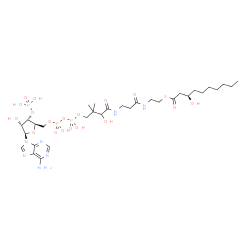 ChemSpider 2D Image | S-{1-[(2R,3S,4R,5R)-5-(6-Amino-9H-purin-9-yl)-4-hydroxy-3-(phosphonooxy)tetrahydro-2-furanyl]-3,5,9-trihydroxy-8,8-dimethyl-3,5-dioxido-10,14-dioxo-2,4,6-trioxa-11,15-diaza-3lambda~5~,5lambda~5~-dipho
sphaheptadecan-17-yl} (3R)-3-hydroxydecanethioate (non-preferred name) | C31H54N7O18P3S