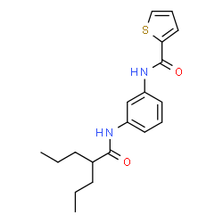 ChemSpider 2D Image | N-{3-[(2-Propylpentanoyl)amino]phenyl}-2-thiophenecarboxamide | C19H24N2O2S