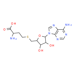 ChemSpider 2D Image | 2-Amino-4-({[5-(6-amino-9H-purin-9-yl)-3,4-dihydroxytetrahydro-2-furanyl]methyl}sulfanyl)butanoic acid (non-preferred name) | C14H20N6O5S