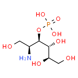 ChemSpider 2D Image | 2-Amino-2-deoxy-3-O-phosphono-D-glucitol | C6H16NO8P