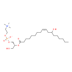 ChemSpider 2D Image | (2R)-3-Hydroxy-2-{[(9Z)-12-hydroxy-9-octadecenoyl]oxy}propyl 2-(trimethylammonio)ethyl phosphate | C26H52NO8P