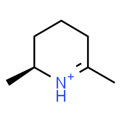 ChemSpider 2D Image | (2S)-2,6-Dimethyl-2,3,4,5-tetrahydropyridinium | C7H14N