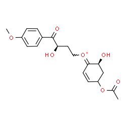 ChemSpider 2D Image | (E)-[(6S)-4-Acetoxy-6-hydroxy-2-cyclohexen-1-ylidene][(3R)-3-hydroxy-4-(4-methoxyphenyl)-4-oxobutyl]oxonium | C19H23O7