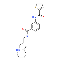 ChemSpider 2D Image | (2R)-2-Methyl-1-[3-({3-[(2-thienylcarbonyl)amino]benzoyl}amino)propyl]piperidinium | C21H28N3O2S