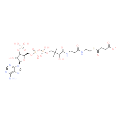 ChemSpider 2D Image | (9R)-1-[(2R,3S,4R,5R)-5-(6-Amino-9H-purin-9-yl)-4-hydroxy-3-(phosphonooxy)tetrahydro-2-furanyl]-3,5,9-trihydroxy-8,8-dimethyl-10,14,19-trioxo-2,4,6-trioxa-18-thia-11,15-diaza-3,5-diphosphadocosan-22-o
ate 3,5-dioxide | C25H39N7O19P3S