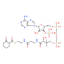 ChemSpider 2D Image | 2-Oxocyclohexane-1-carbonyl-CoA | C28H44N7O18P3S