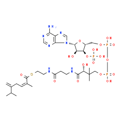 ChemSpider 2D Image | S-{(9R)-1-[(2R,3S,4R,5R)-5-(6-Amino-9H-purin-9-yl)-4-hydroxy-3-(phosphonooxy)tetrahydro-2-furanyl]-3,5,9-trihydroxy-8,8-dimethyl-3,5-dioxido-10,14-dioxo-2,4,6-trioxa-11,15-diaza-3lambda~5~,5lambda~5~-
diphosphaheptadecan-17-yl} (2Z)-2,6-dimethyl-5-methylene-2-heptenethioate | C31H50N7O17P3S