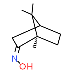 ChemSpider 2D Image | (1R,2Z)-N-Hydroxy-1,7,7-trimethylbicyclo[2.2.1]heptan-2-imine | C10H17NO