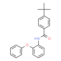 ChemSpider 2D Image | 4-(2-Methyl-2-propanyl)-N-(2-phenoxyphenyl)benzamide | C23H23NO2