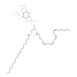ChemSpider 2D Image | (2R)-1-(Heptadecanoyloxy)-3-[(hydroxy{[(1R,3S)-2,3,6-trihydroxy-4,5-bis(phosphonooxy)cyclohexyl]oxy}phosphoryl)oxy]-2-propanyl (5Z,8Z,11Z,14Z)-5,8,11,14-icosatetraenoate | C46H83O19P3