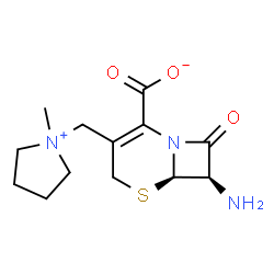 ChemSpider 2D Image | (6R,7R)-7-amino-3-((1-methylpyrrolidinio)methyl)-8-oxo-5-thia-1-azabicyclo(4.2.0)oct-2-ene-2-carboxylate | C13H19N3O3S