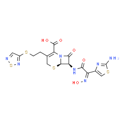 ChemSpider 2D Image | (6R,7R)-7-{[(2Z)-2-(2-Amino-1,3-thiazol-4-yl)-2-(hydroxyimino)acetyl]amino}-8-oxo-3-[2-(1,2,5-thiadiazol-3-ylsulfanyl)ethyl]-5-thia-1-azabicyclo[4.2.0]oct-2-ene-2-carboxylic acid | C16H15N7O5S4