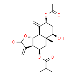 ChemSpider 2D Image | (3aR,4R,5aR,6R,8S,9aS,9bR)-8-Acetoxy-6-hydroxy-5a-methyl-3,9-bis(methylene)-2-oxododecahydronaphtho[1,2-b]furan-4-yl 2-methylpropanoate | C21H28O7