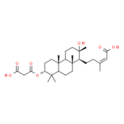 ChemSpider 2D Image | (2Z)-5-[(3alpha,5xi,9xi,13alpha,14beta)-3-(2-Carboxyacetoxy)-13-hydroxy-8,13-dimethylpodocarpan-14-yl]-3-methyl-2-pentenoic acid | C28H44O7