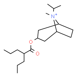 ChemSpider 2D Image | 8-Isopropyl-8-methyl-3-[(2-propylpentanoyl)oxy]-8-azoniabicyclo[3.2.1]octane | C19H36NO2