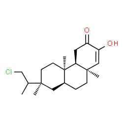 ChemSpider 2D Image | (4aR,4bR,7S,8aS,10aS)-7-(1-Chloro-2-propanyl)-2-hydroxy-4b,7,10a-trimethyl-4a,4b,5,6,7,8,8a,9,10,10a-decahydro-3(4H)-phenanthrenone | C20H31ClO2