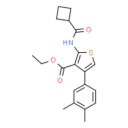 ChemSpider 2D Image | Ethyl 2-[(cyclobutylcarbonyl)amino]-4-(3,4-dimethylphenyl)-3-thiophenecarboxylate | C20H23NO3S