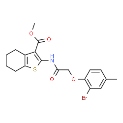 ChemSpider 2D Image | Methyl 2-{[(2-bromo-4-methylphenoxy)acetyl]amino}-4,5,6,7-tetrahydro-1-benzothiophene-3-carboxylate | C19H20BrNO4S