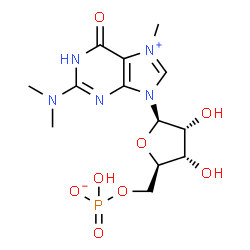 ChemSpider 2D Image | N(2),N(2),N(7)-trimethylguanosine 5'-phosphate | C13H20N5O8P