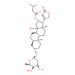 ChemSpider 2D Image | (3beta,5beta,16beta)-3-[(2,6-Dideoxy-3-O-methyl-beta-D-lyxo-hexopyranosyl)oxy]-14-hydroxy-16-[(3-methylbutanoyl)oxy]card-20(22)-enolide | C35H54O9