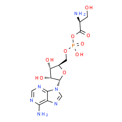 ChemSpider 2D Image | 9-{5-O-[{[(2S)-2-Amino-3-hydroxypropanoyl]oxy}(hydroxy)phosphoryl]-alpha-D-ribofuranosyl}-9H-purin-6-amine | C13H19N6O9P