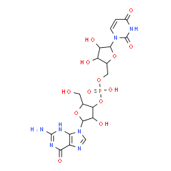ChemSpider 2D Image | [5-(2-amino-6-oxo-3H-purin-9-yl)-4-hydroxy-2-(hydroxymethyl)tetrahydrofuran-3-yl] [5-(2,4-dioxopyrimidin-1-yl)-3,4-dihydroxy-tetrahydrofuran-2-yl]methyl hydrogen phosphate | C19H24N7O13P