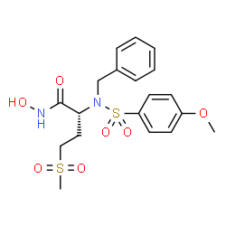 ChemSpider 2D Image | (2R)-2-{Benzyl[(4-methoxyphenyl)sulfonyl]amino}-N-hydroxy-4-(methylsulfonyl)butanamide | C19H24N2O7S2