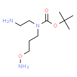 ChemSpider 2D Image | 2-Methyl-2-propanyl (2-aminoethyl)[3-(aminooxy)propyl]carbamate | C10H23N3O3