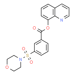 ChemSpider 2D Image | 8-Quinolinyl 3-(4-morpholinylsulfonyl)benzoate | C20H18N2O5S