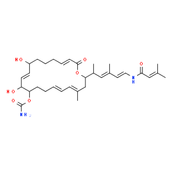 ChemSpider 2D Image | (4E,6E,12E,18E)-11,14-Dihydroxy-4-methyl-2-{(3E,5E)-4-methyl-6-[(3-methyl-2-butenoyl)amino]-3,5-hexadien-2-yl}-20-oxooxacycloicosa-4,6,12,18-tetraen-10-yl carbamate | C33H48N2O7