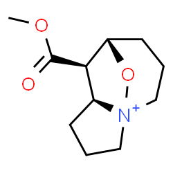 ChemSpider 2D Image | (5S,6R,7S)-6-(Methoxycarbonyl)-11-oxa-1-azoniatricyclo[5.3.1.0~1,5~]undecane | C11H18NO3