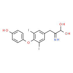 ChemSpider 2D Image | 3-[4-(4-Hydroxyphenoxy)-3,5-diiodophenyl]-2-imino-1,1-propanediol | C15H13I2NO4