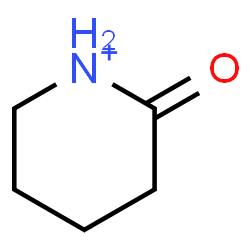 ChemSpider 2D Image | 2-Oxopiperidinium | C5H10NO