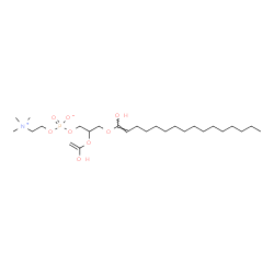 ChemSpider 2D Image | 3-{[(1E)-1-Hydroxy-1-hexadecen-1-yl]oxy}-2-[(1-hydroxyvinyl)oxy]propyl 2-(trimethylammonio)ethyl phosphate | C26H52NO8P