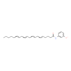 ChemSpider 2D Image | 3-[(5E,8E,11E,14E)-5,8,11,14-Icosatetraenoylamino]phenolate | C26H36NO2