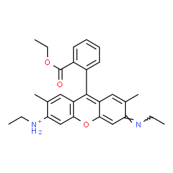 ChemSpider 2D Image | (3Z)-9-[2-(Ethoxycarbonyl)phenyl]-N-ethyl-3-(ethylimino)-2,7-dimethyl-3H-xanthen-6-aminium | C28H31N2O3